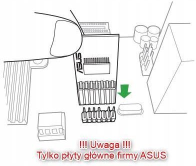 ASUS TPM-M R2.0 (90MC03W0-M0XBN1) - zdjęcie 2 ASUS TPM-M R2.0 (90MC03W0-M0XBN1)