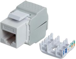 Zdjęcie Intellinet Network Solutions Beznarzędziowy moduł Keystone, Cat.6 UTP, RJ45, Biały (167062) - Ostróda