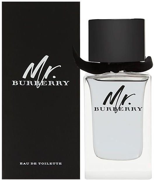 mr burberry
