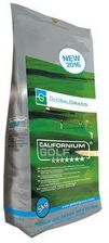 Zdjęcie Global Grass Trawa Uniwersalna Californium Golf - Torzym