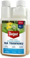 Zdjęcie Target Środek chwastobójczy STARANE TRAWNIKI 260 EW 250ml - Nowe Skalmierzyce