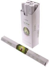 Zdjęcie Stamford 37829 Kadzidełka Mystical Hex Dębowy Król - Reszel