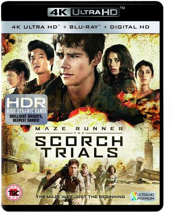 Maze Runner: The Scorch Trials (Więzień labiryntu: Próby ognia) (Blu-Ray)