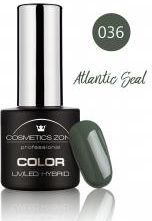 Cosmetics Zone Lakier Hybrydowy 036 Atlantic Seal 7ml