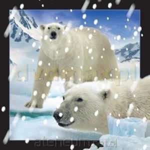 Ateneum Magnes 3D Niedźwiedzie Polarne W Śniegu