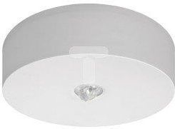 awex Oprawa awaryjna AXN IP65 ECO LED 3W 310lm (opt. otwarta) 1h jednozadaniowa biała AXNO/3W/E/1/SE/X/WH (axno3we1sexwh)