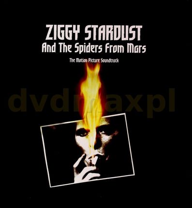 Ziggy Stardust And The Spiders From The Mars soundtrack [David Bowie] [2xWinyl]