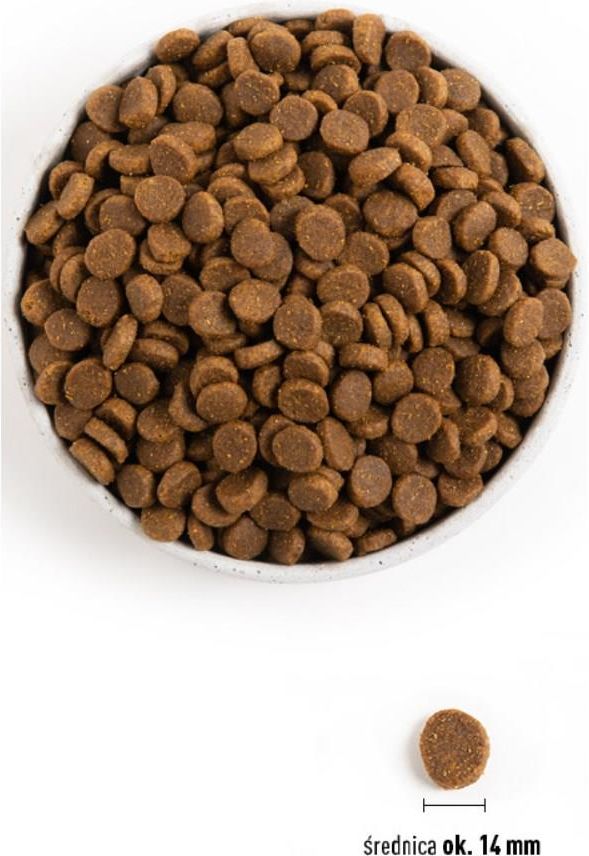 Acana senior 2kg best sale