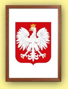 Micromedia Godło Rzeczpospolitej Polskiej (Godło Polski) w prostokątnej ramce 30 cm x 40 cm