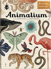 Animalium. Muzeum Zwierząt - zdjęcie 1