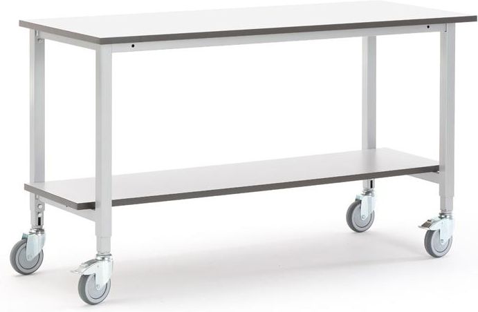 Stół Warsztatowy Aj Mobilny Stół Roboczy Z Półką Dolną D1200xs600 Mm