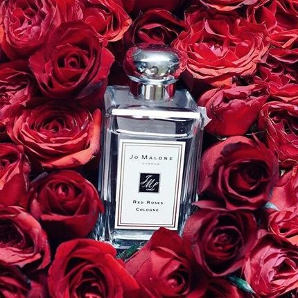 Jo Malone Red Roses woda kolońska 100ml - Ceneo.pl