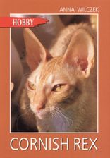 Zdjęcie Cornish Rex - Bydgoszcz