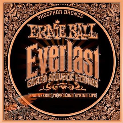 Ernie Ball (13-56) Everlast Phosphor Bronze Medium