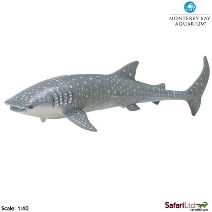 Safari Rekin Wielorybi 1:40 24x8,5 cm Monterey B (210602)
