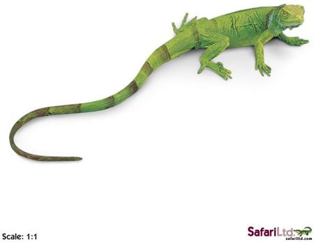 Safari Młody Legwan Zielony 24x10 cm Skala 1:1 (258329)