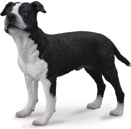 Collecta Zwierzęta domowe Pies Rasy American Stafford Shire Terrier (88610)