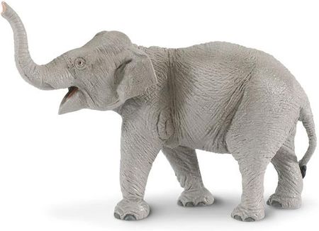 Safari Słoń Indyjski 16,5x12 cm (227529)