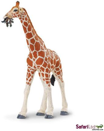 Safari Żyrafa Siatkowana 14x18 cm (268429)