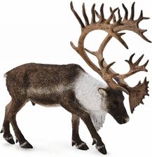 Zdjęcie Collecta Renifer Woodland Caribou (88709) - Sanniki