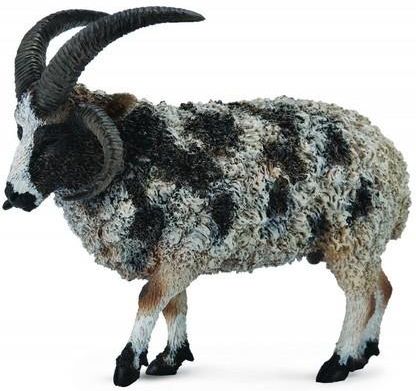 Collecta Zwierzęta domowe Owca Wieloroga (88728)