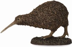 Zdjęcie Collecta Zwierzęta dzikie Kiwi (88731) - Mielec