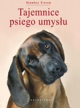 Zdjęcie Tajemnice psiego umysłu - Rumia