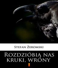 Zdjęcie Rozdzióbią nas kruki, wrony - Poznań
