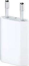 APPLE NETWORK CHARGER A1400 BULK