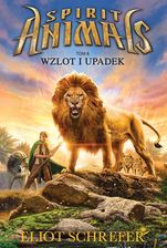 Zdjęcie Spirit Animals. Tom VI. Wzlot i upadek - Gostynin