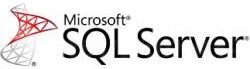 Microsoft SQL CAL 2016 User CAL MOLP (35906322)
