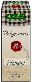 polygemma 16