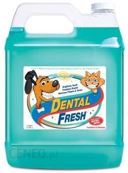 synergy labs dental fresh for cats
