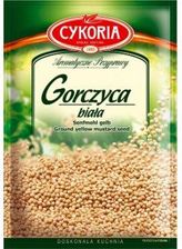 Zdjęcie Cykoria Gorczyca 25 G - Orneta