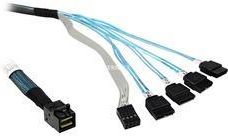 Broadcom SFF8643 4x SATA 0,5m (L50021900)