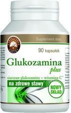 Zdjęcie NordFarm Glukozamina 500 Plus 90tabl. - Garwolin