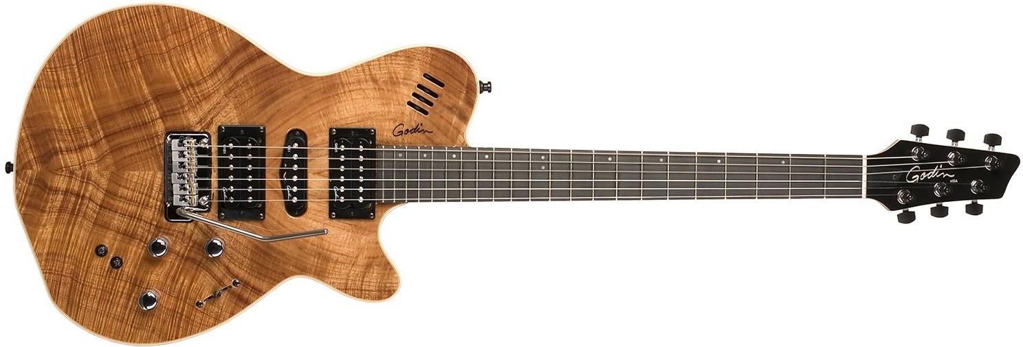 ギター GODIN xt-SA KOA 25th anniversary limited GODIN xt-SA KOA 25th anniversary limited