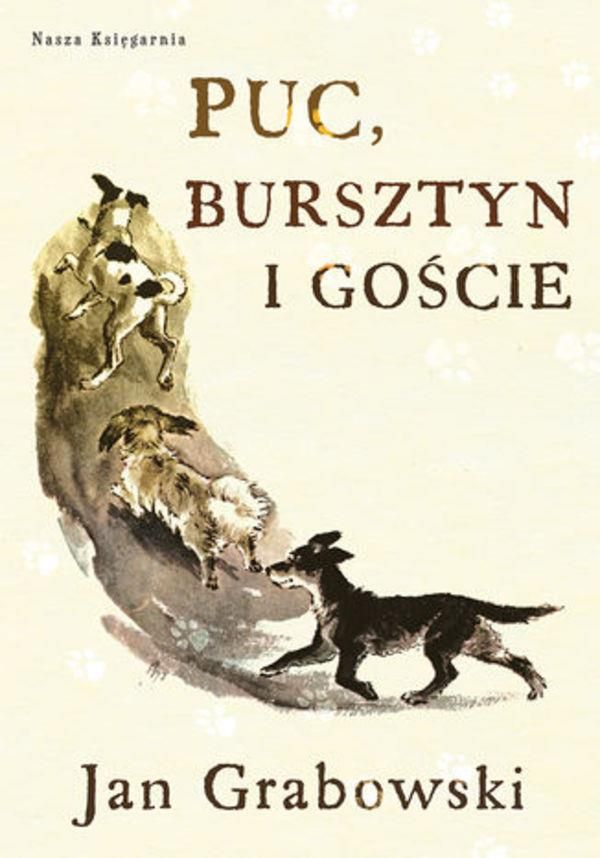 Opis Psa Puca Z Lektury Puc Bursztyn Goście Puc Bursztyn i goście [e-book] - Ceny i opinie - Ceneo.pl