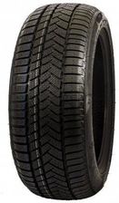 Sunny Wintermax NW211 255/40R19 100V XL