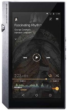 PIONEER - pioneer  XDP-300R  シルバー Odtwarzacz mp3 Pioneer XDP-300R srebrny - Opinie i ceny na