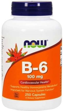 Now Foods Witamina B-6 100 mg 250 kaps.