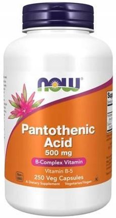 Now Foods Panthotenic Acid kwas pantotenowy 500 mg 250 kaps.