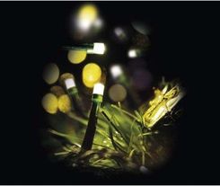 Zdjęcie EMOS Lampki choinkowe 50 LED 2,5M IP20 DL - Kraków