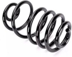 Zdjęcie Sprężyna zawieszenia KAYABA RA6264 - Pacanów