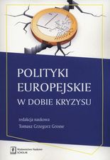 Zdjęcie Polityki europejskie w dobie kryzysu - Pleszew