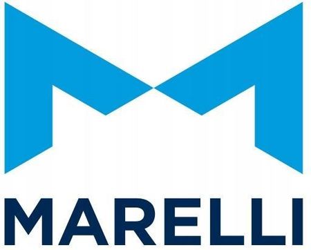 MAGNETI MARELLI WPQ1199 (WPQ1199) - zdjęcie 2