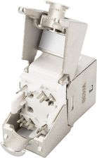 Zdjęcie Digitus Moduł CAT 6A Keystone (DN93617) - Wrocław