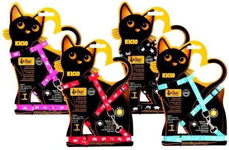 dingo KICIO komplet taśmy dla małych kotów smycz 1,0cm x 120cm + szelki z regulacją 21019