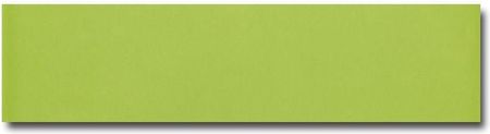 Ribesalbes Chic Colors Liso Verde pol. 10x40