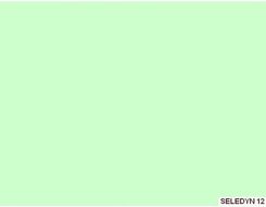 SELEDYNOWY seledynowy